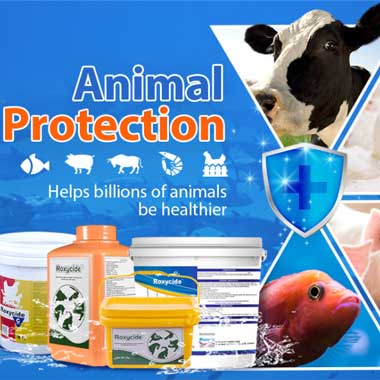 Industria de la desinfección animal y productos de desinfección